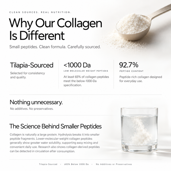 Marine Collagen Peptides Powder