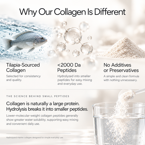 Marine Collagen Peptides Powder